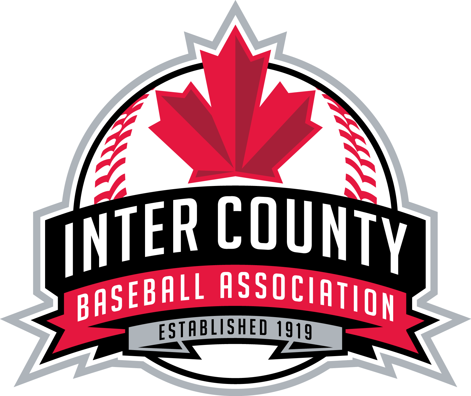 ICBA Logo